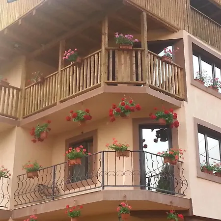 Pensiunea Rebeca Guest house *
