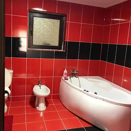Pensiunea Rebeca Guest house