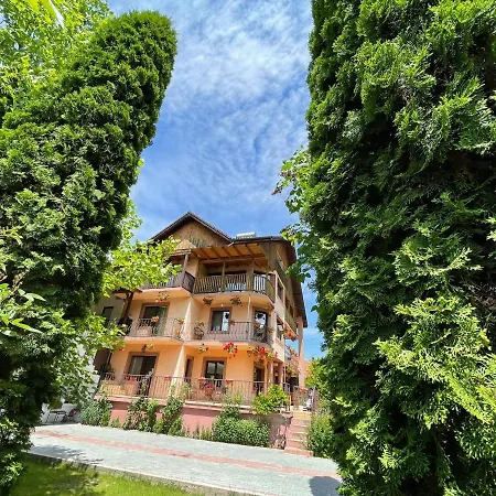 Guest house Pensiunea Rebeca