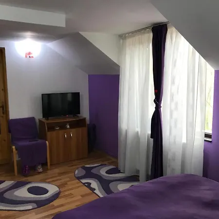 Pensiunea Rebeca Guest house