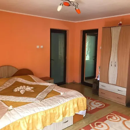 Pensiunea Rebeca Guest house Bughea de Sus