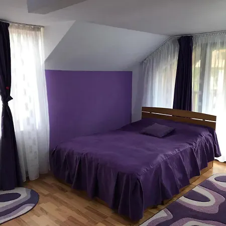 Guest house Pensiunea Rebeca