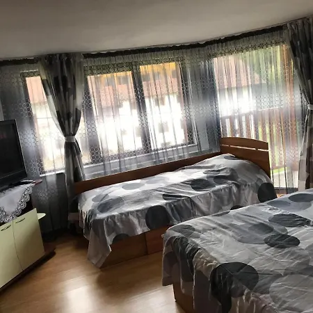 Guest house Pensiunea Rebeca Bughea de Sus
